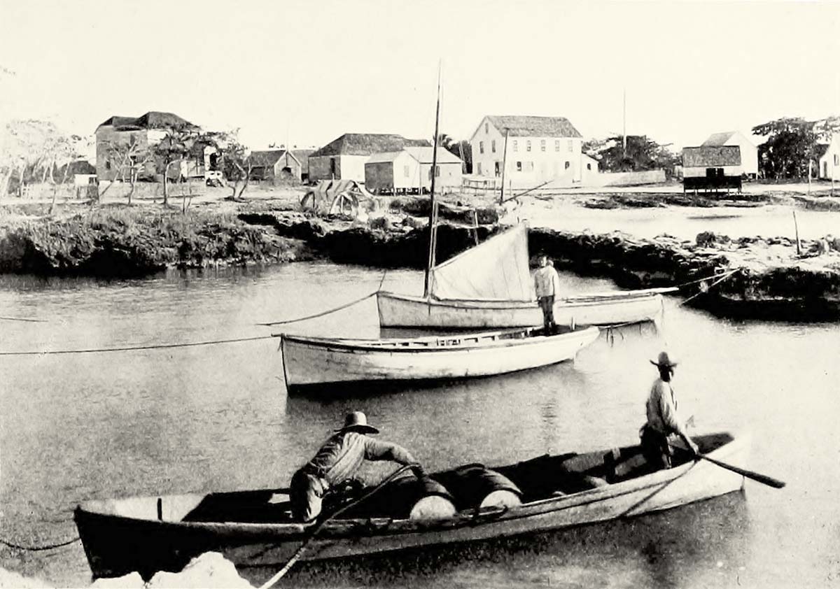 George Town. The large white building is the Court House, 1914