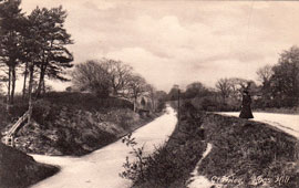 Crawley. Hogs Hill, 1910s