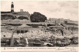 Plymouth. Marine Biological Institution and Lighthouse, 1906