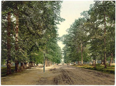 Southampton. Avenue, between 1890 and 1900