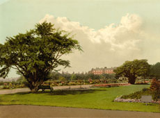 Greater London. Hampton Court Park, 1890