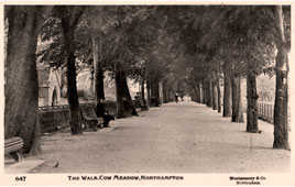 Northampton. Walk Cow Meadow, circa 1920's