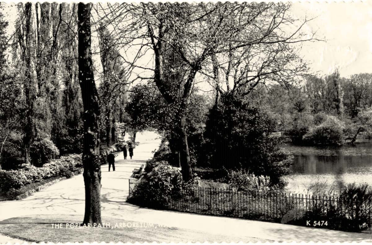 Walsall. The Arboretum - Poplar Path
