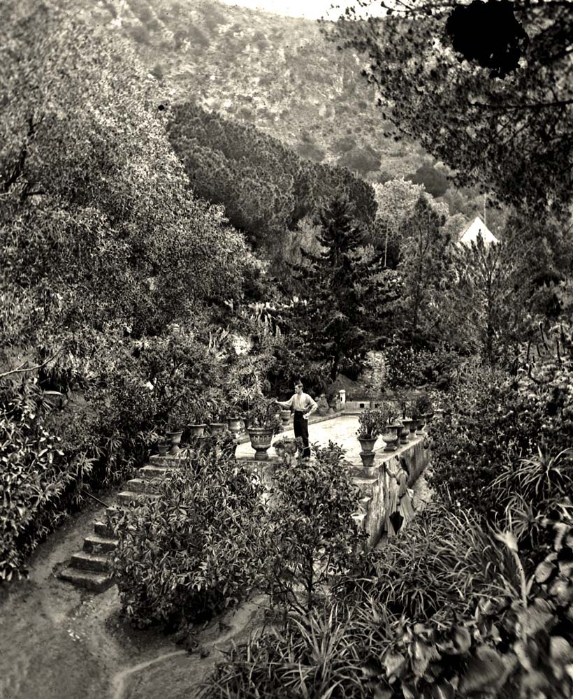 The Gibraltar Botanic Gardens or La Alameda Gardens, 1890