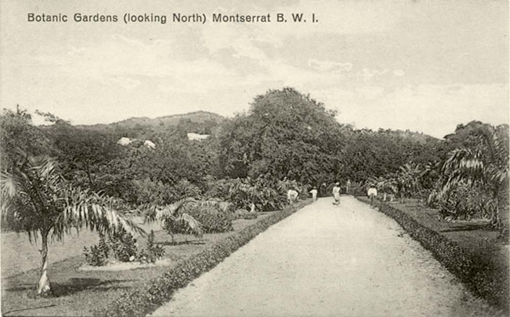 Plymouth. Botanical Gardens, looking North